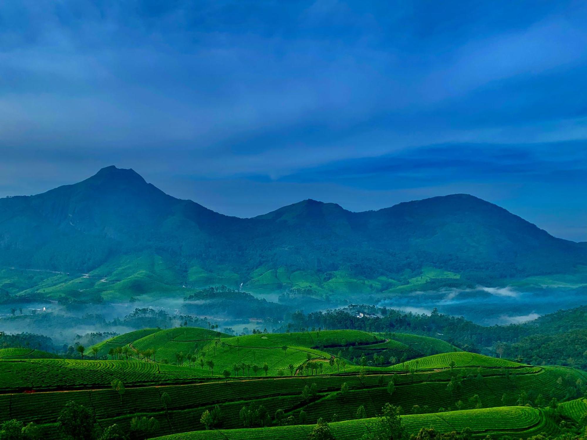 Lockhart Bungalow Munnar - A Cgh Earth Saha Experience Exterior photo